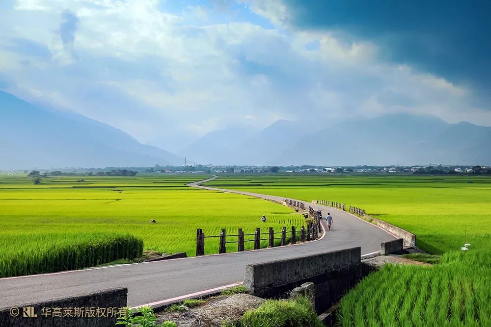 从冠军米的故乡到稻米之都台湾池上乡20年品牌发展到地方创生