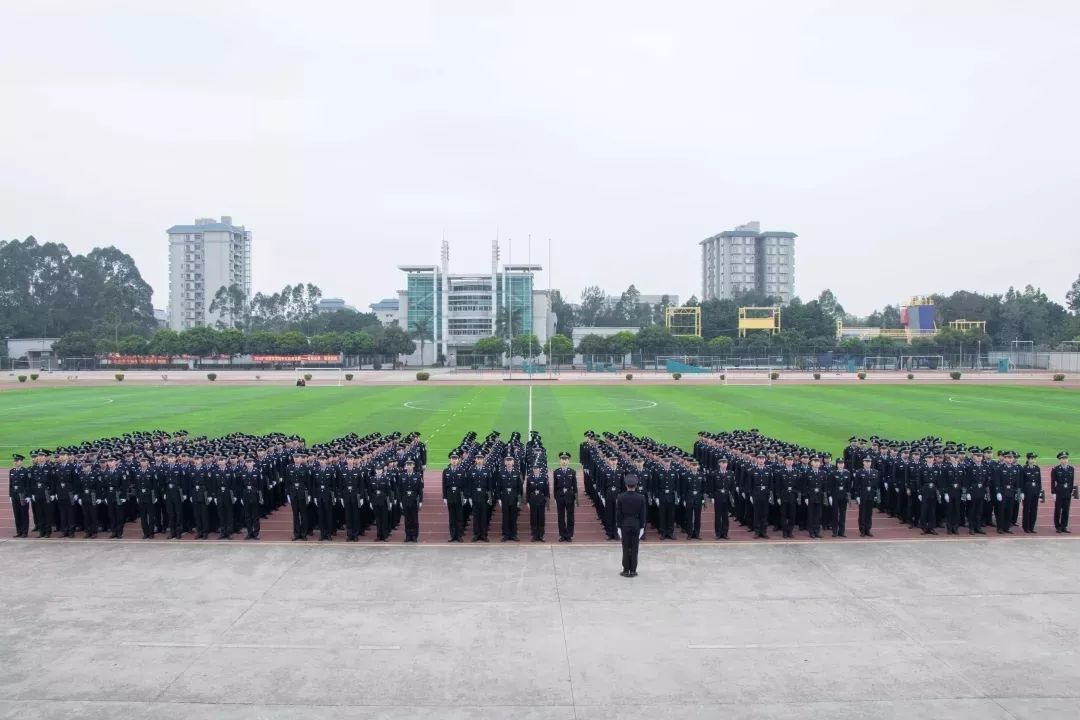 招生简介战术大家庭欢迎您