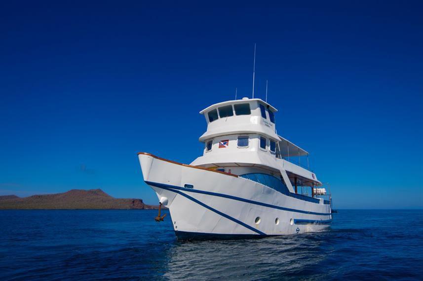 danubio azul是一艘小型巡游游轮,于2016年起航.