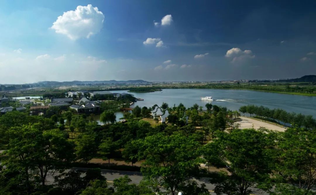 试住实录江湖人生金茂绿岛湖鹭府深藏功与名