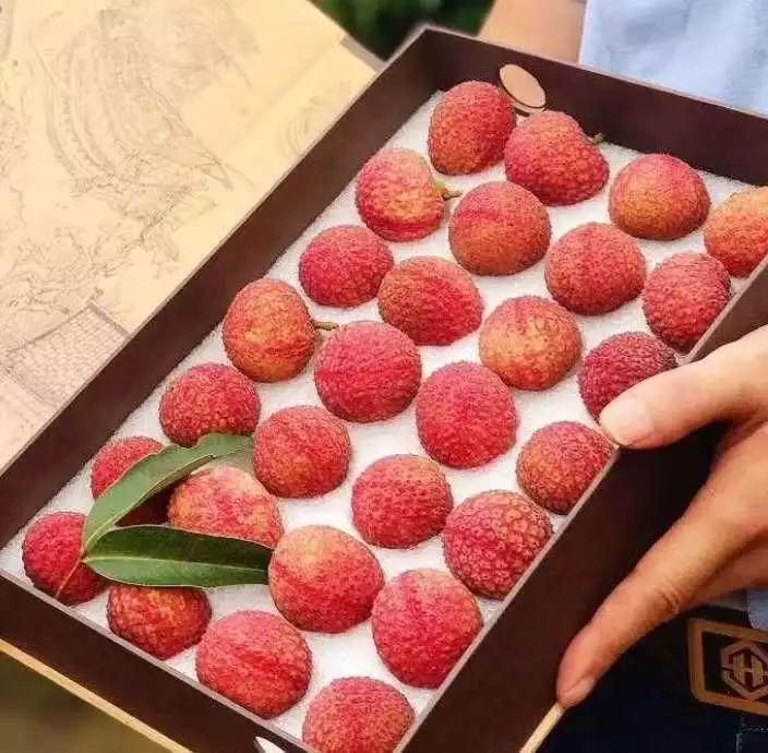 北海2斤香山鸡嘴荔枝卖出1600元!为过57元/颗!