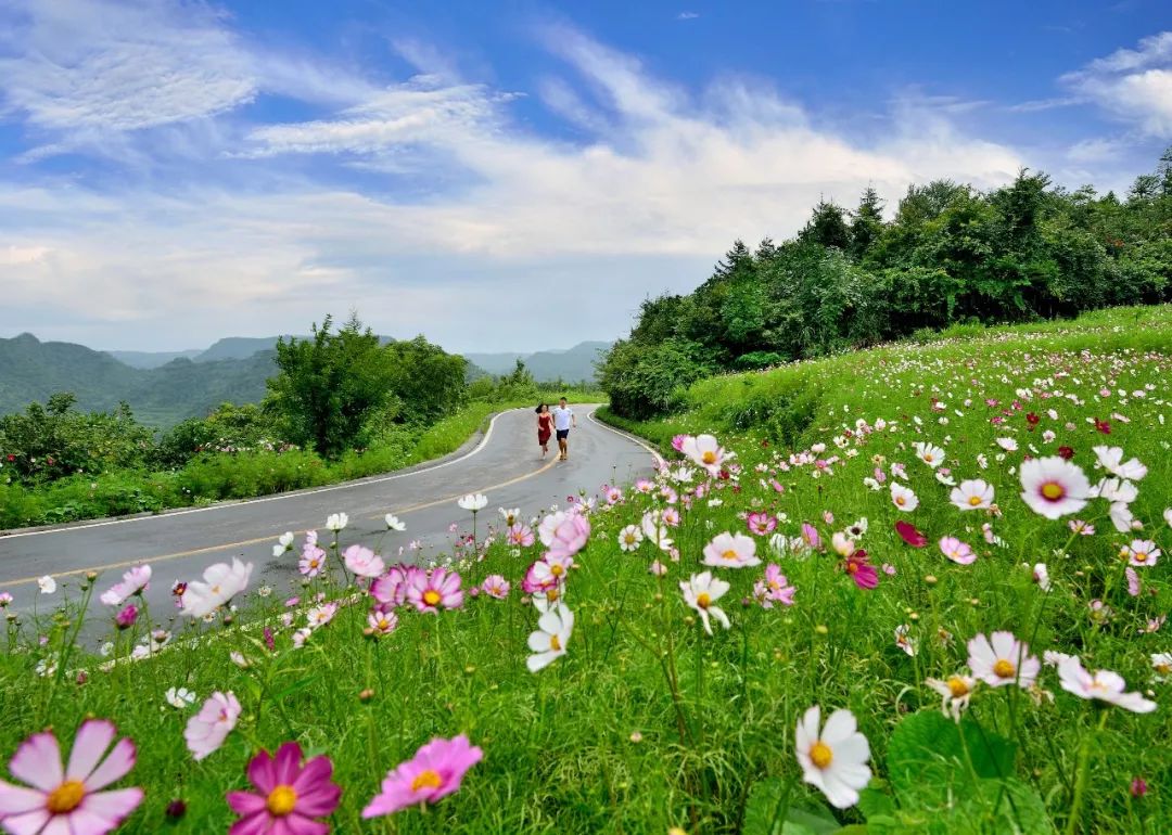 今夏到秀山川河蓋納涼打卡_景區