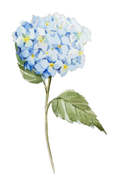 倒计时第二天|无尽夏 舞曲 舞步教程 抢票通道