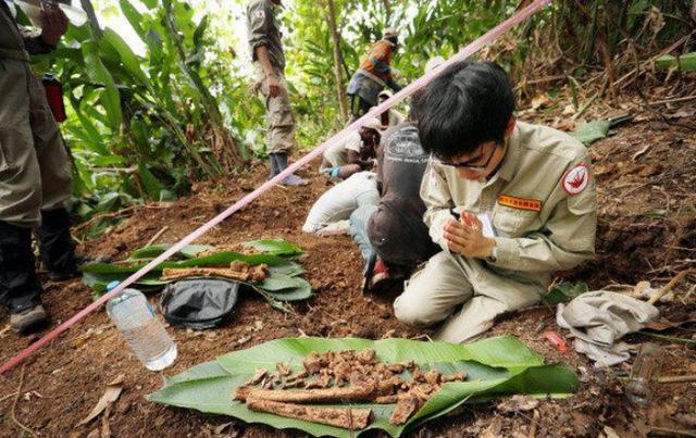 日本"拾骨者",找回二战日本兵127万遗骨,他们的行动还在继续