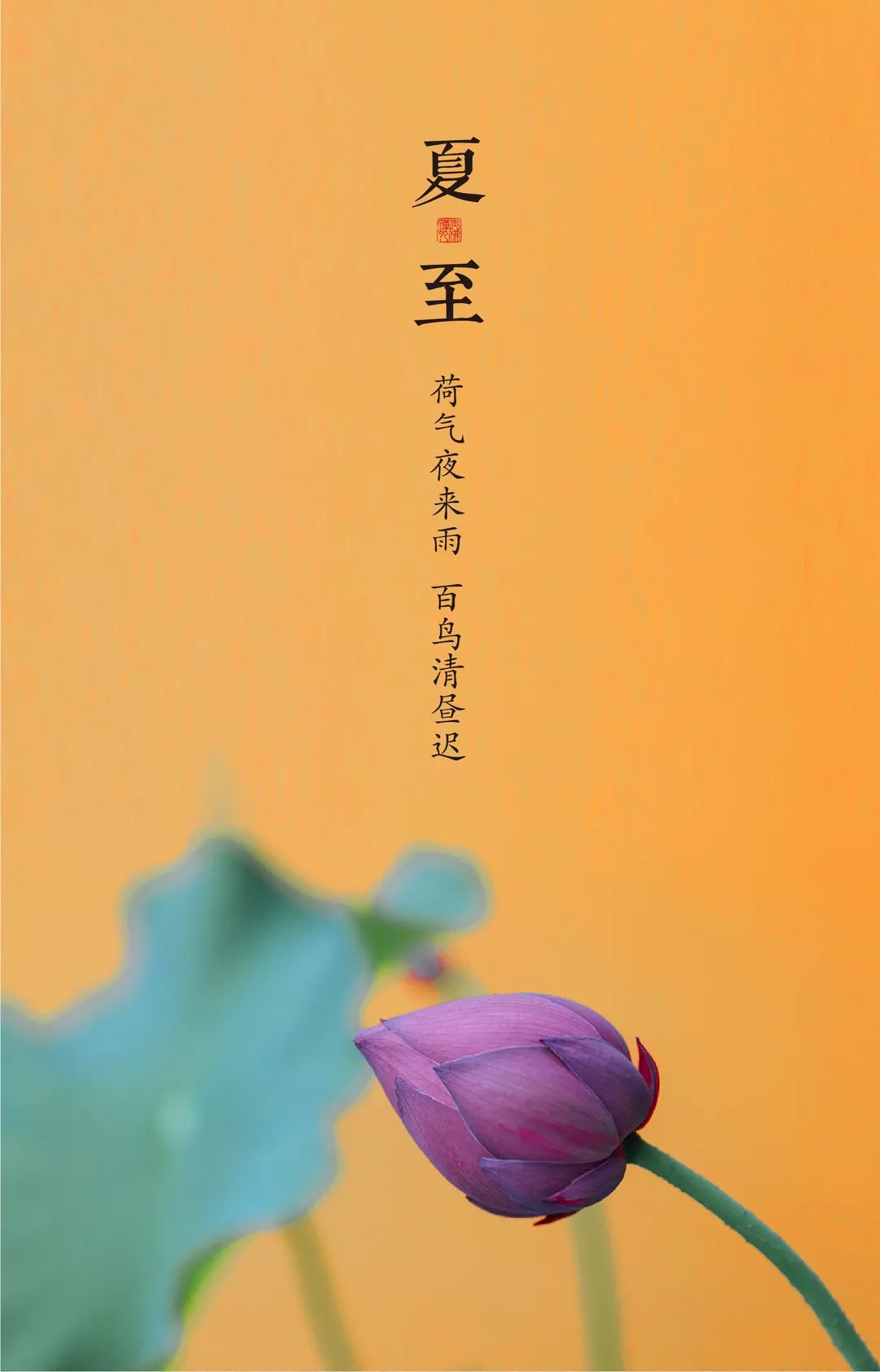 夏至,白昼日短,光阴且慢