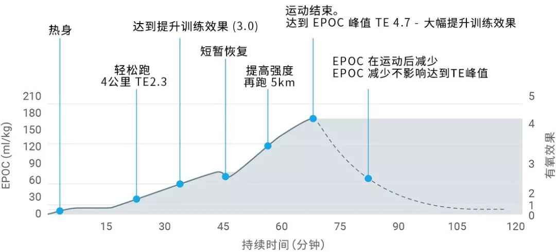 体育课运动负荷图图片