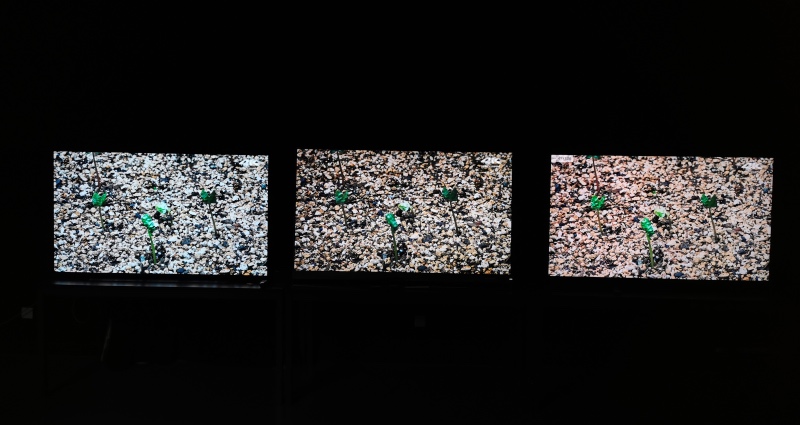 海信电视“黑科技”放大招:让OLED和量子点显示技术自叹不如!-家电圈官网