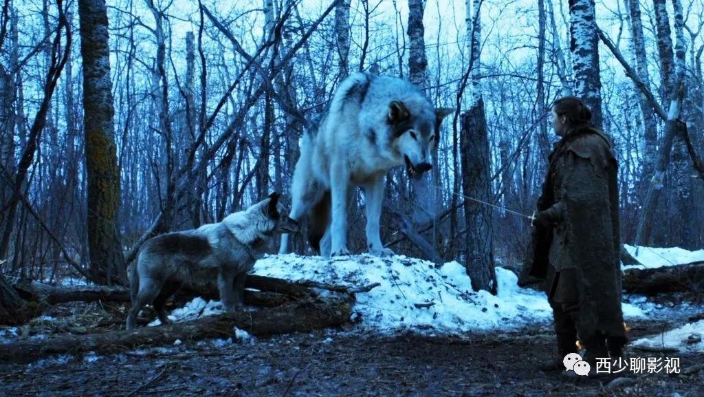权力的游戏第八季二丫的冰原狼娜梅莉亚本来会带着狼群出现