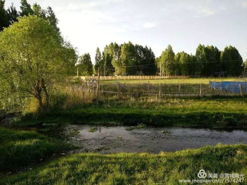 永昌| 树绕村庄,水满陂塘,南泉湿地,蝶儿正忙_金昌