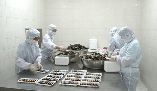 中央厨房的监管未来路径怎么走听听业内专家们怎么说