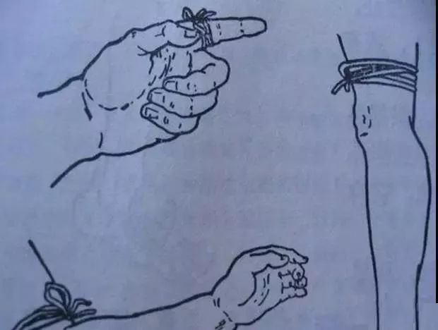 被蛇咬截肢?广东这些医院有"抗蛇毒血清",能救命!