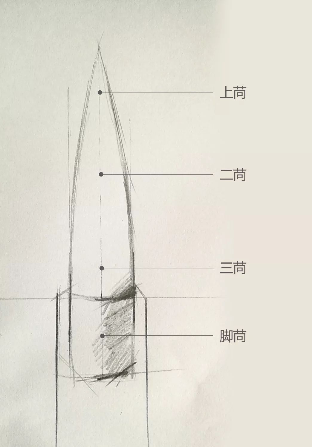 毛笔的部位名称图解图片