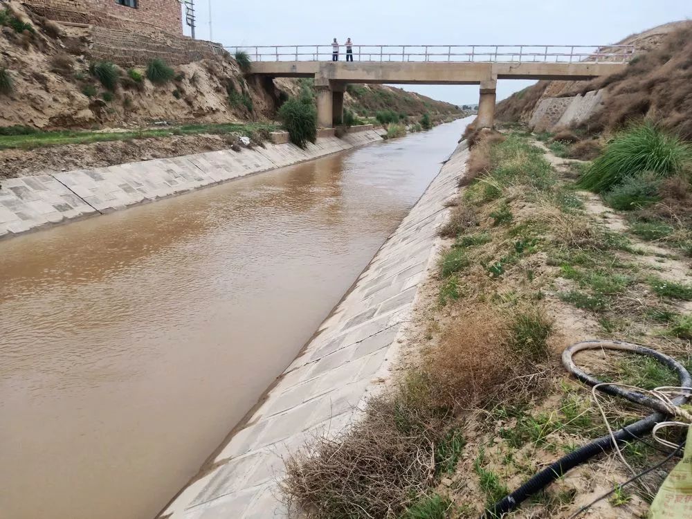 现场王团女子掉入大渠瞬间不见身影新堡汉子纵身跳入水中