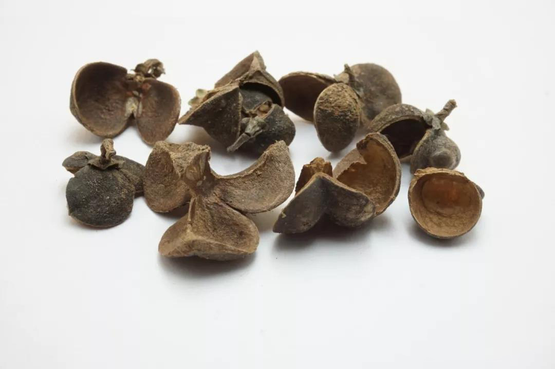 六堡茶(传统工艺)图谱_口感