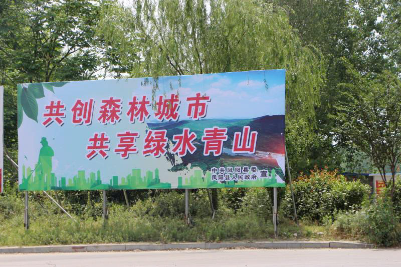 建大美生态凤阳……连日来,一幅幅新添置的森林城市创建标语的绿色