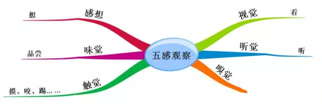 思维导图学语文掌握五感作文法
