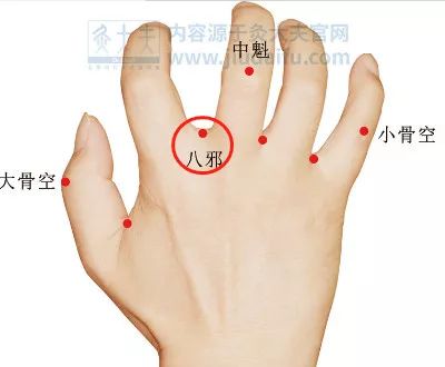 耳尖,八邪,八风:此三穴还可用三棱针点刺放血,血腥但有效.
