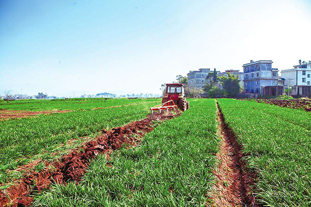 2019年轮作休耕面积达到3000万亩农民不能种植补贴又有多少