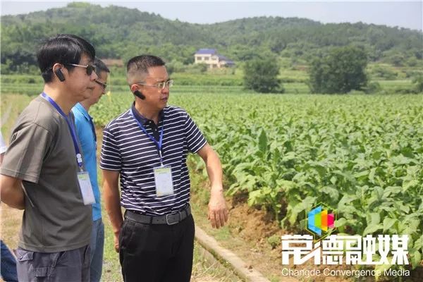 龚德汉代表市政府对各位来宾长期以来给予常德烟草产业发展的关心与