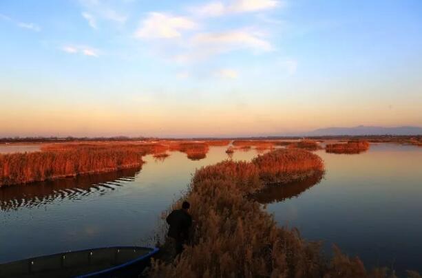 大荔县人民政府副县长刘丁做客环境热线栏目