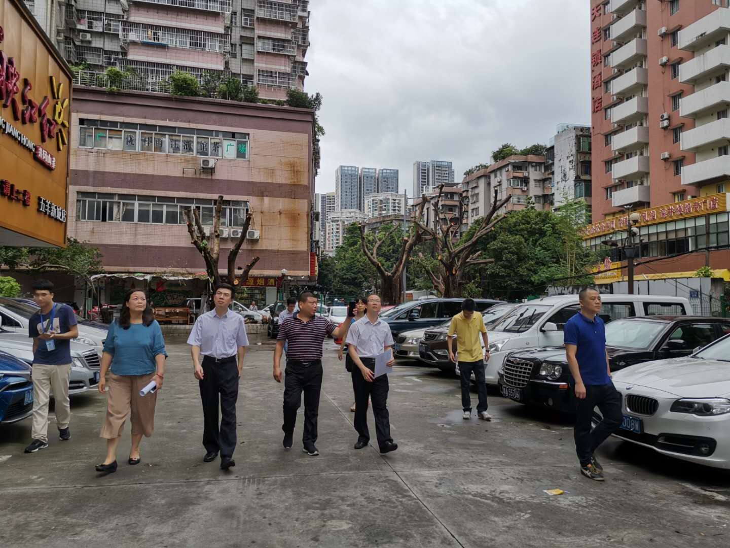 越秀区副区长颜强带队调研东山街登革热防控工作