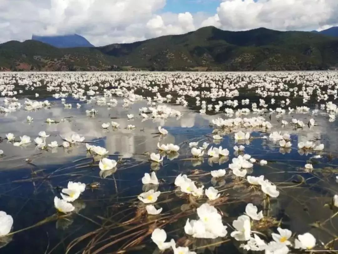 雲南瀘沽湖的水性楊花