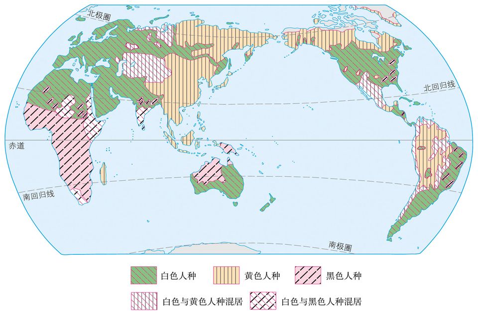 世界人口及人种分布_世界人口三大人种分布(3)