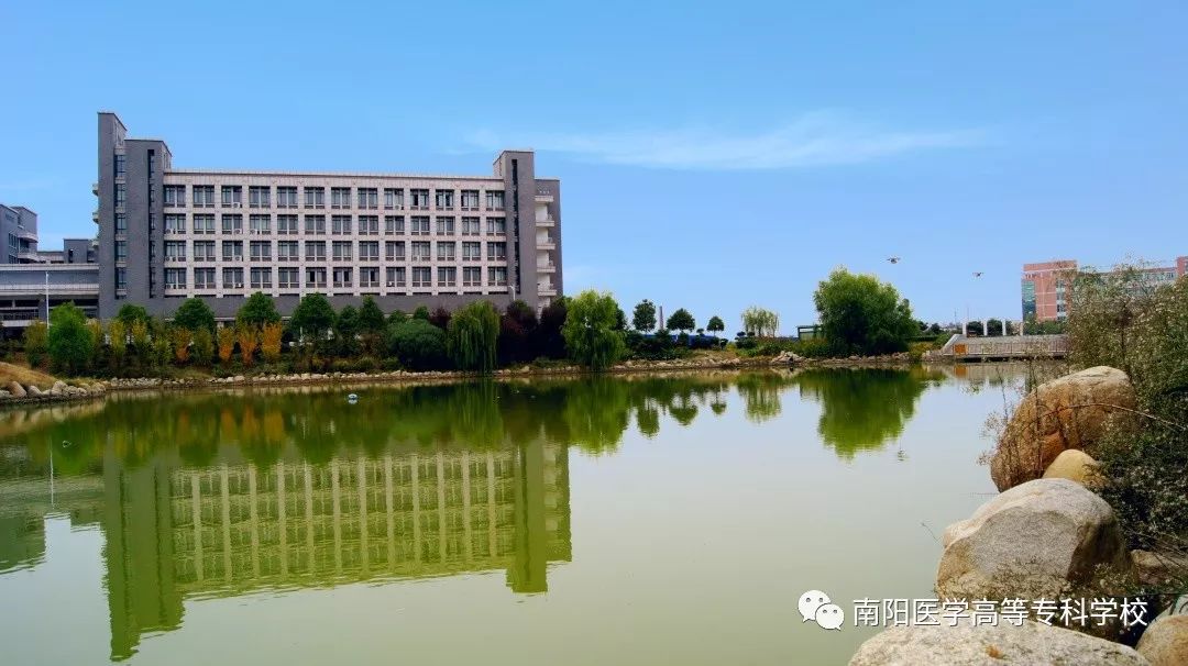 南阳仲景医学院图片