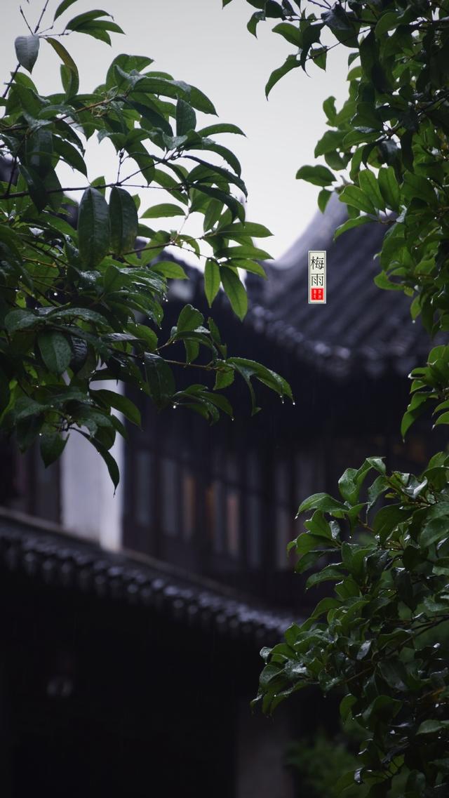 图说中国又是一年梅雨季