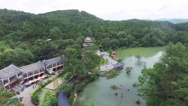 席席,空氣幽幽古樹參天,青山滴翠逍遙湖景區佔地面積3000多畝已然來襲