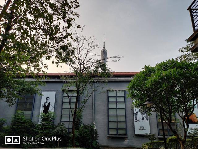 样张秀实力,一加7 pro新固件升级,拍照水平究竟如何_相机