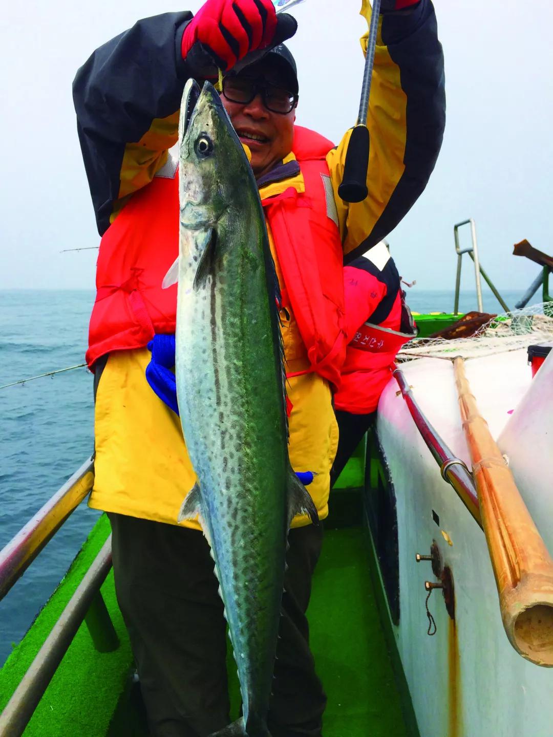 天津的块儿哥jig慢板 截胡大鲅鱼