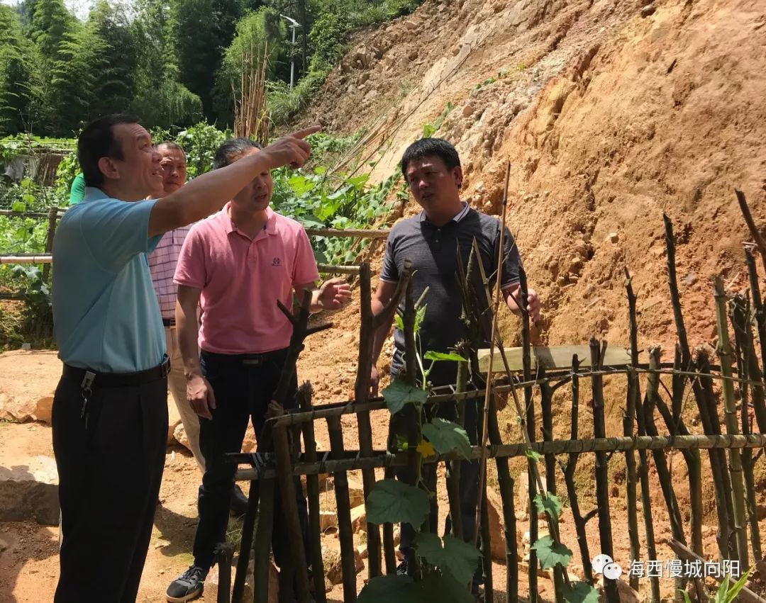 南安市政府副市长李少敏带队到向阳乡检查指导地灾点治理工作