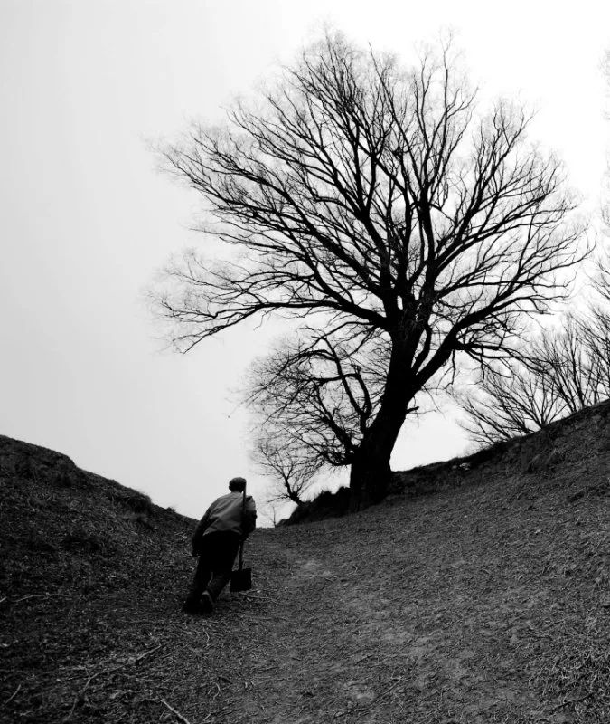 父亲的背影 | 温情却有力,朦胧而久远