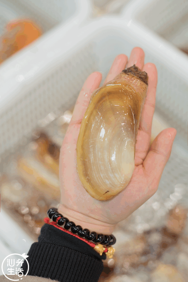 640_960竖版 竖屏gif 动态图 动图