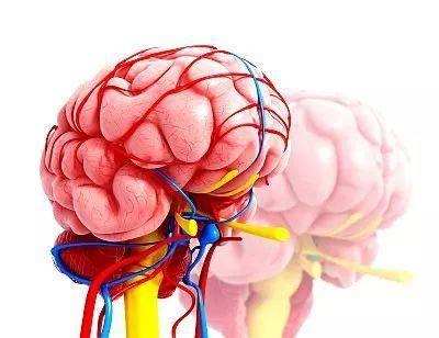 中国中老年人脑血管疾病死亡率持续增高做好预防是关键
