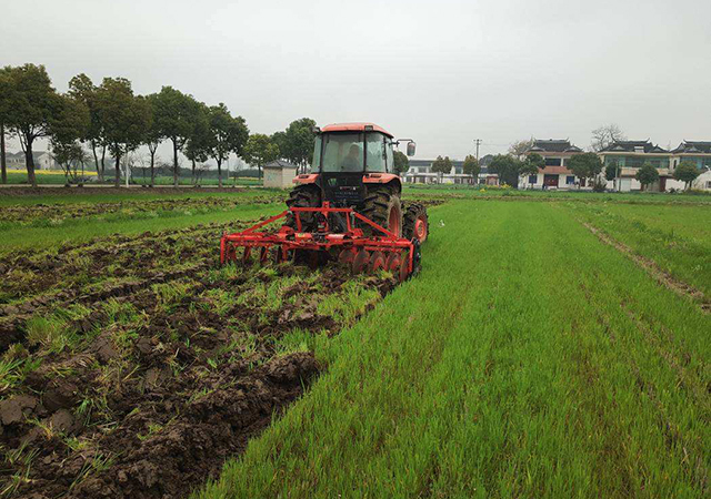 2019年轮作休耕面积达到3000万亩农民不能种植补贴又有多少
