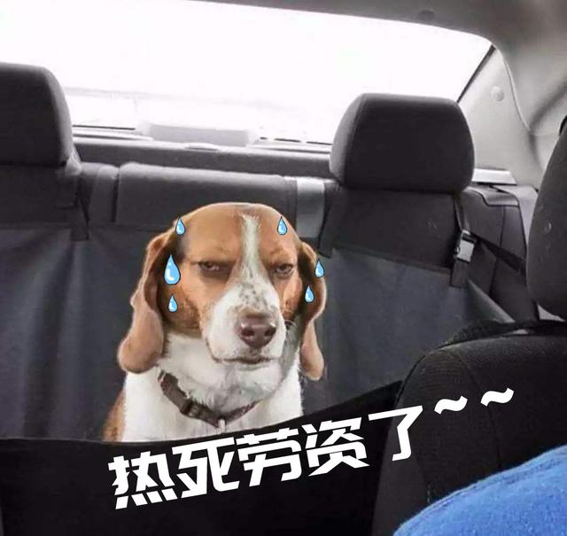 科威特气温破63度, 汽车能晒到自燃的中东怎么过夏天