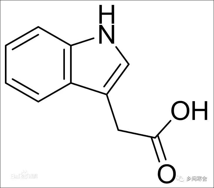 寒窗说谜:一世清白(激素一)
