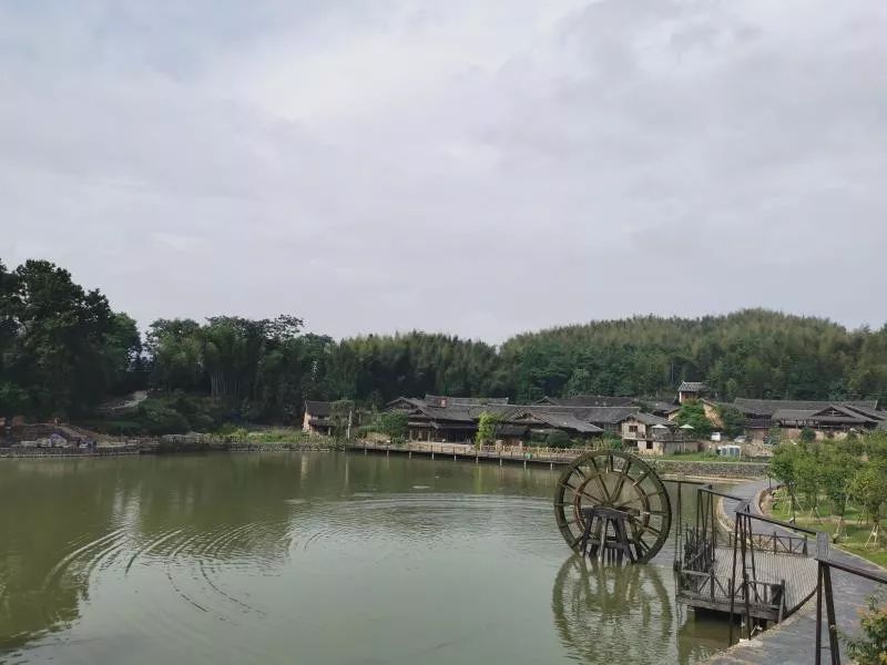 省特色小镇调研组一行来泰顺氡泉小镇开展实地初审