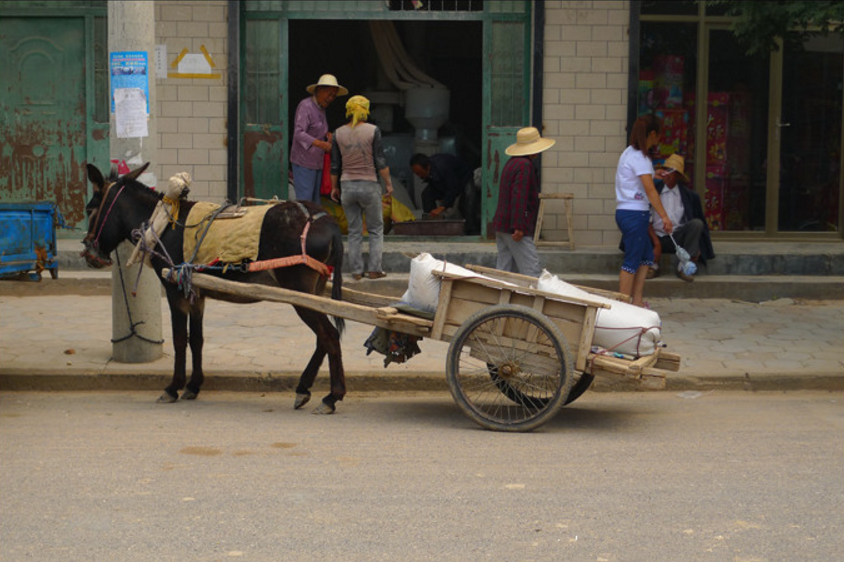 北方农村拉帮套是一种什么民俗现象现在还存在吗