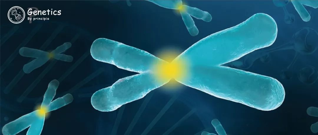 认识着丝点:驾驶着"生命巴士"的"巴士司机"