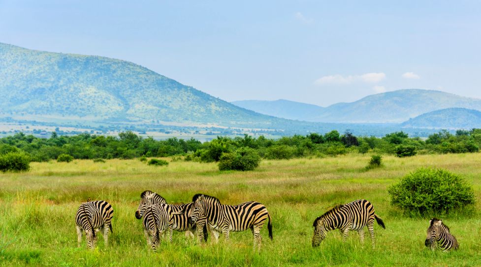 星推荐 | 原来,南非竟然有这么多美景!