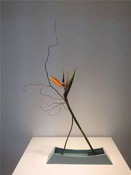 一株枯枝, 便是一个花境._插花
