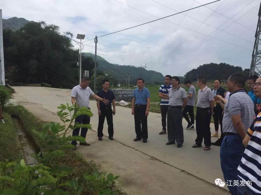 縣政協為江英鎮四好農村路創建把脈