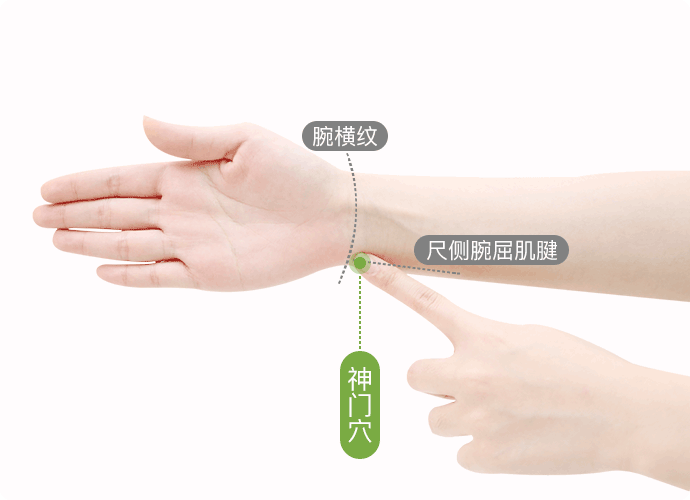 神门穴在腕部,腕掌侧横纹尺侧端,尺侧腕屈肌腱的桡侧凹陷处.