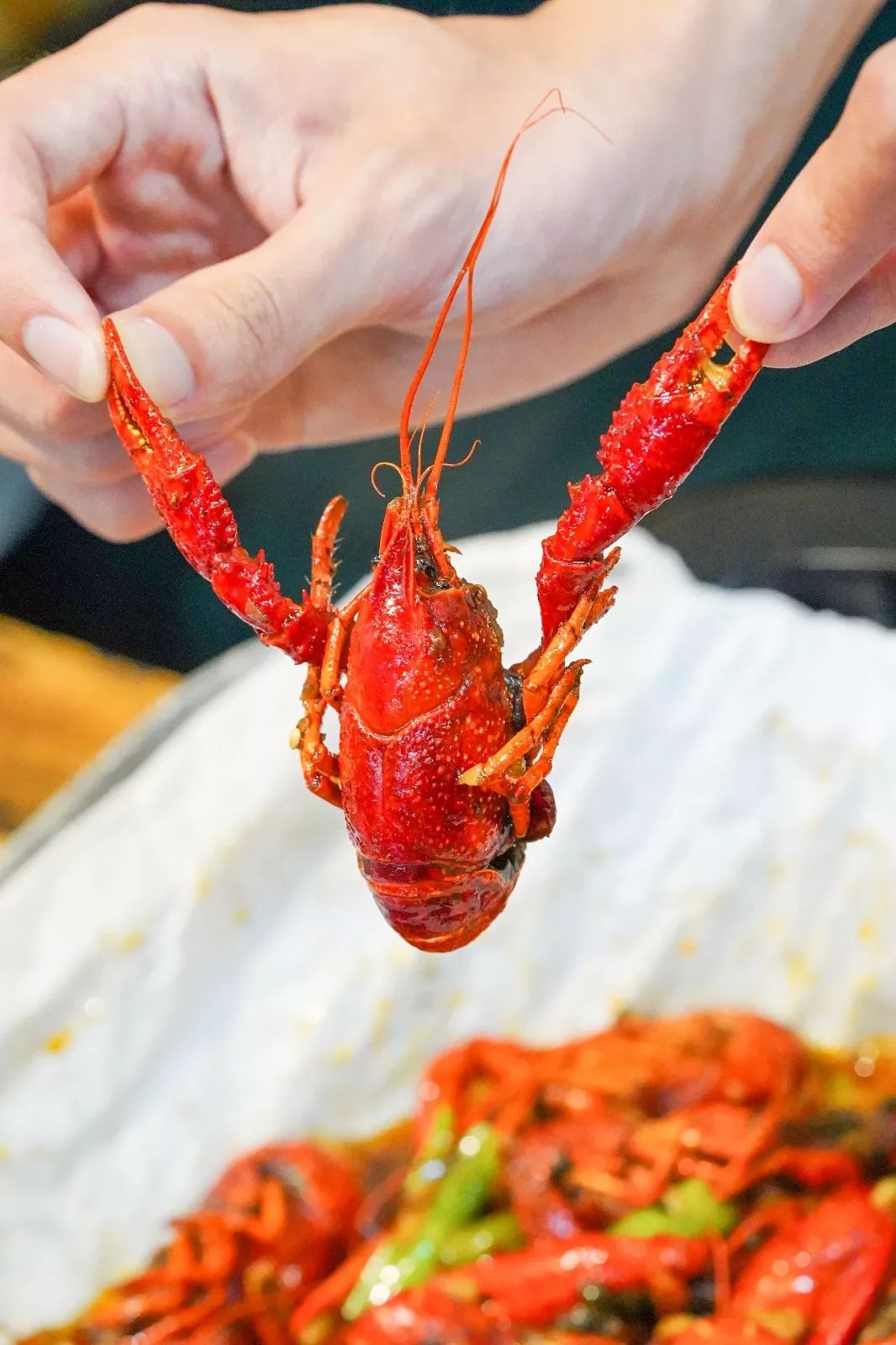 omg纸上烤小龙虾新鲜上市活动让人忍无可忍去吃垮他家