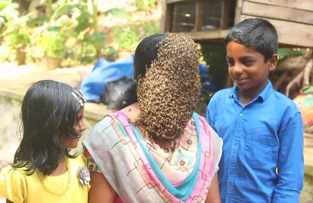 蜜蜂"挂脸",印度女子不一般