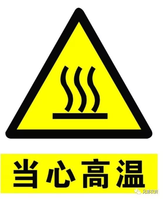 警报高温已来玉米红蜘蛛防治切不可乱防乱用