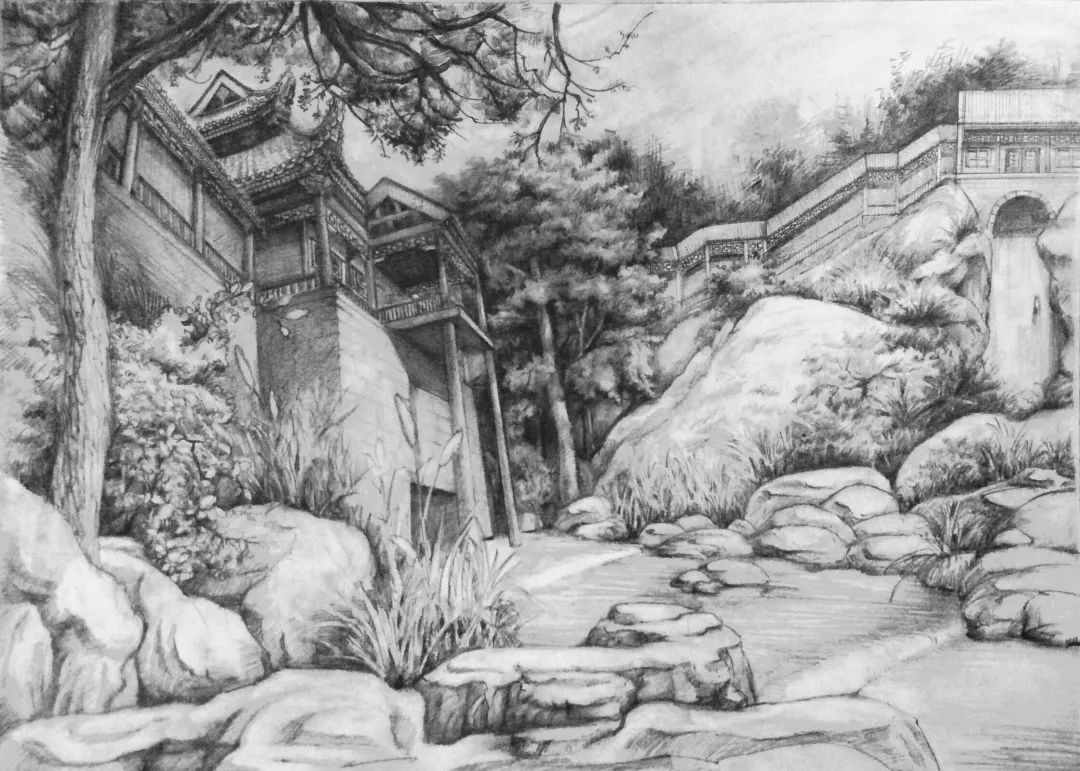 聚焦丨2019 年首届"鲁本斯杯"全国大学生园林美术作品大奖赛获奖名单